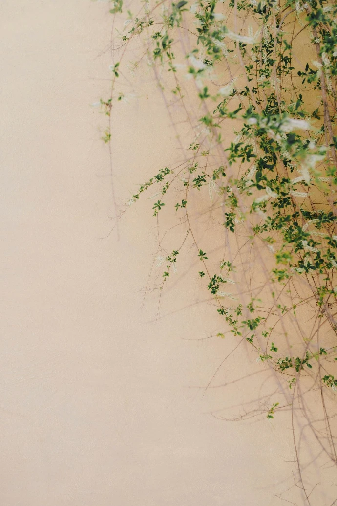 a bunch of vines growing on the side of a wall